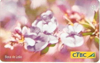CTBC-T-0789 - Flores do Cerrado - 4/8
